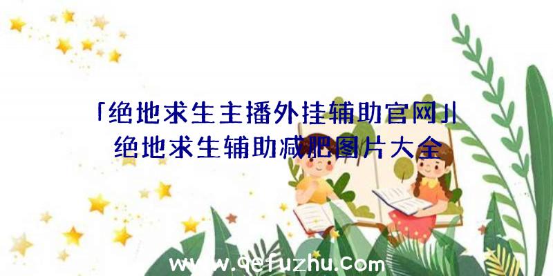 「绝地求生主播外挂辅助官网」|绝地求生辅助减肥图片大全